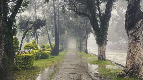 Canyon Hill Baguio