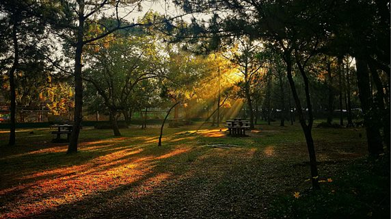 Canyon Hill Baguio